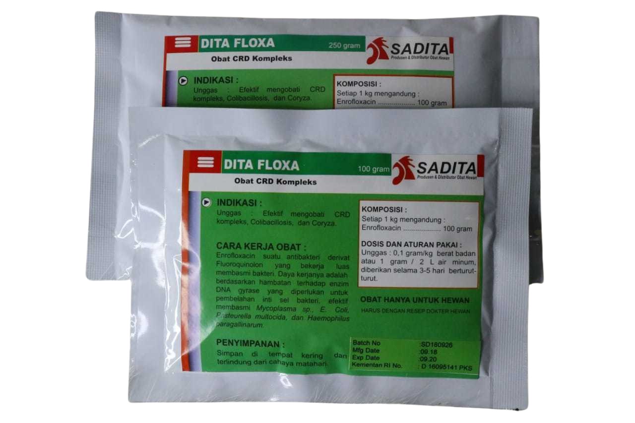 DITA FLOXA POWDER