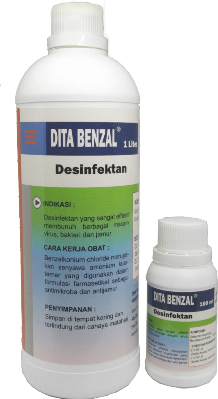 DITA BENZAL
